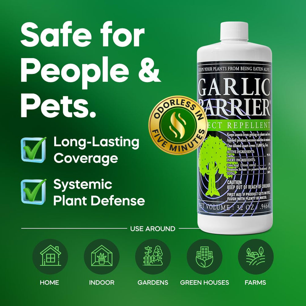 Garlic Barrier odor dissipates within 30 minutes after spraying.