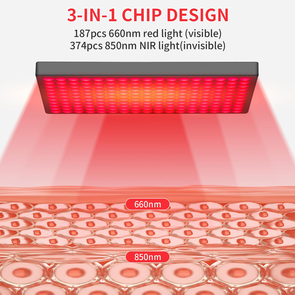 MOTAYU body therapy application with full-panel coverage for whole-area support