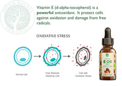 Dropper tip of Vitamin E Oil for precise application by Mother Nature's Essentials