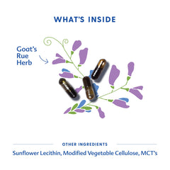 Pouring Goat's Rue capsules from the bottle to illustrate easy daytime dosing.