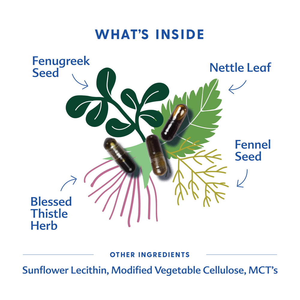 Ingredients panel for Motherlove More Milk Plus featuring fenugreek, blessed thistle, nettle, fennel