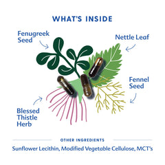 Ingredients panel for Motherlove More Milk Plus featuring fenugreek, blessed thistle, nettle, fennel
