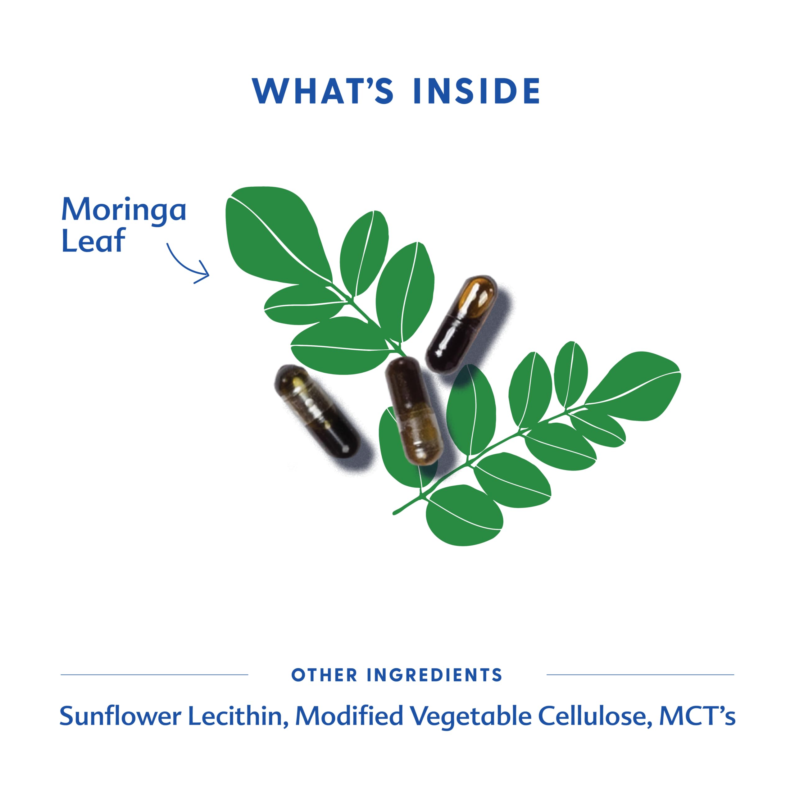 Motherlove Moringa bottle dosing demonstrates daily use at meals for steady intake.