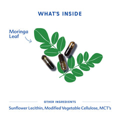 Motherlove Moringa bottle dosing demonstrates daily use at meals for steady intake.