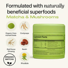 Motiv Matcha energy gummies ingredients panel highlighting organic matcha and adaptogens