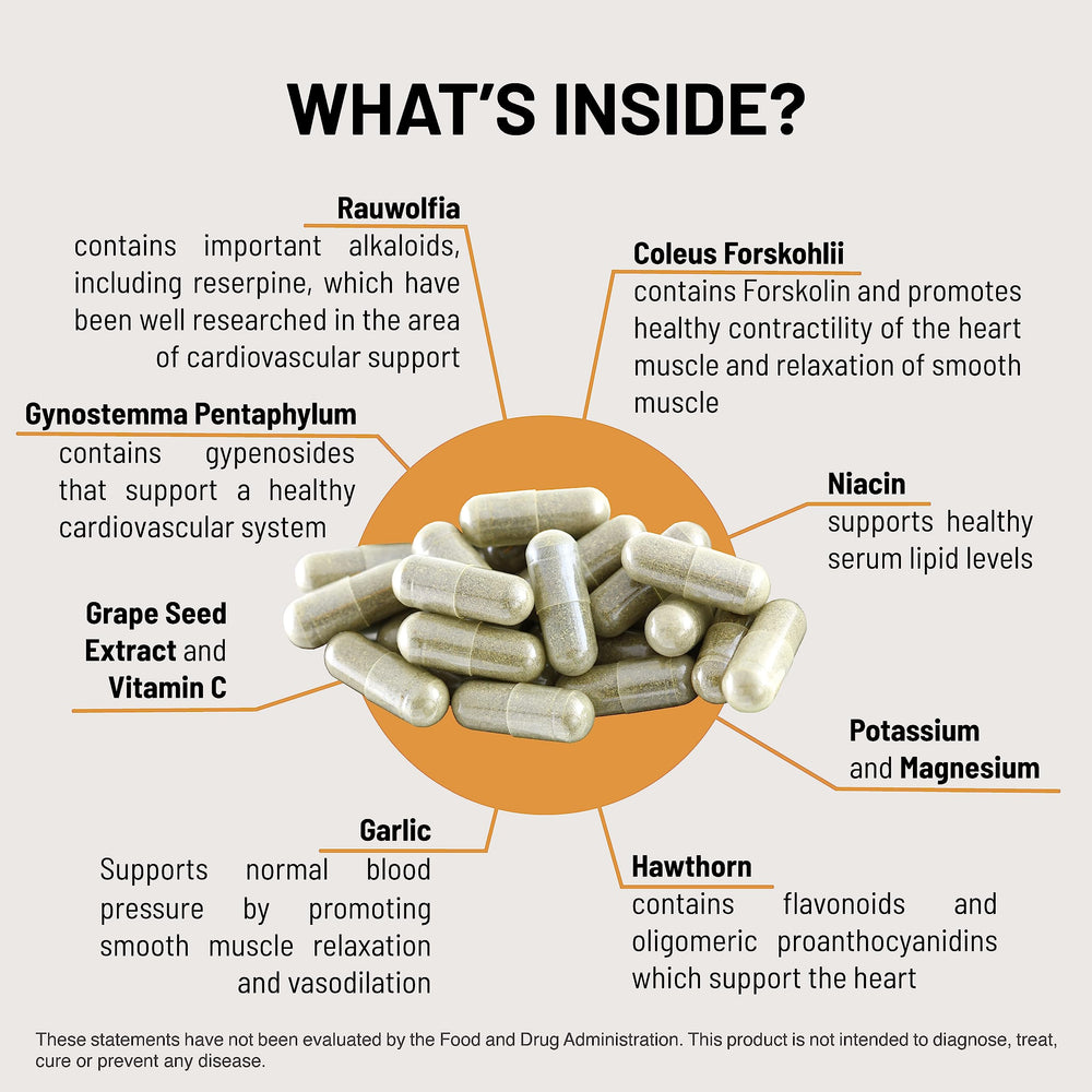 Graphic illustrating vascular health concepts linked to Mountain Peak HTN.