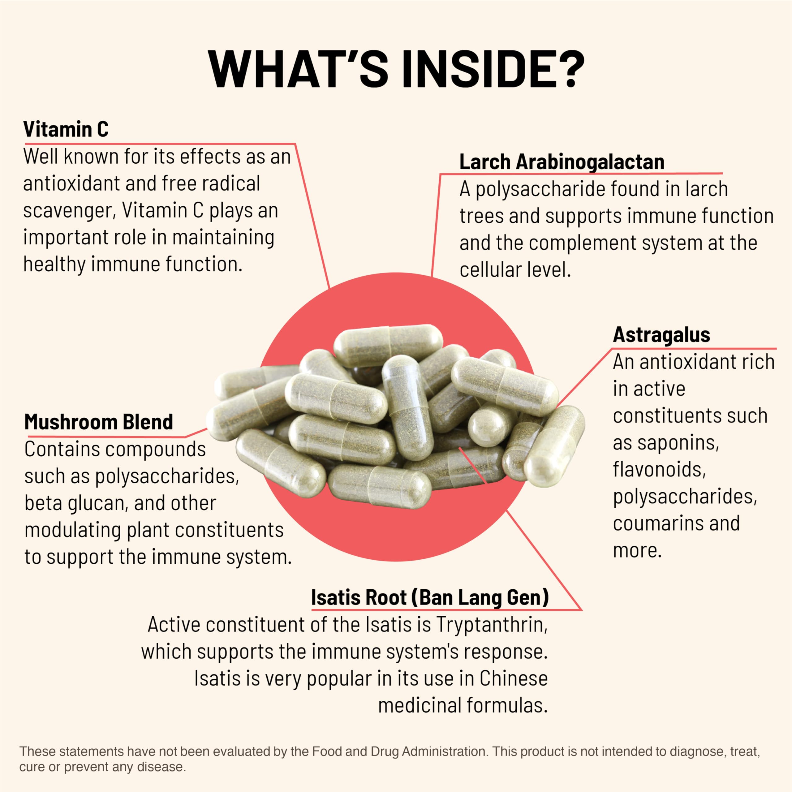 Close-up of Immuni-LT ingredients list with mushrooms and beta glucans.