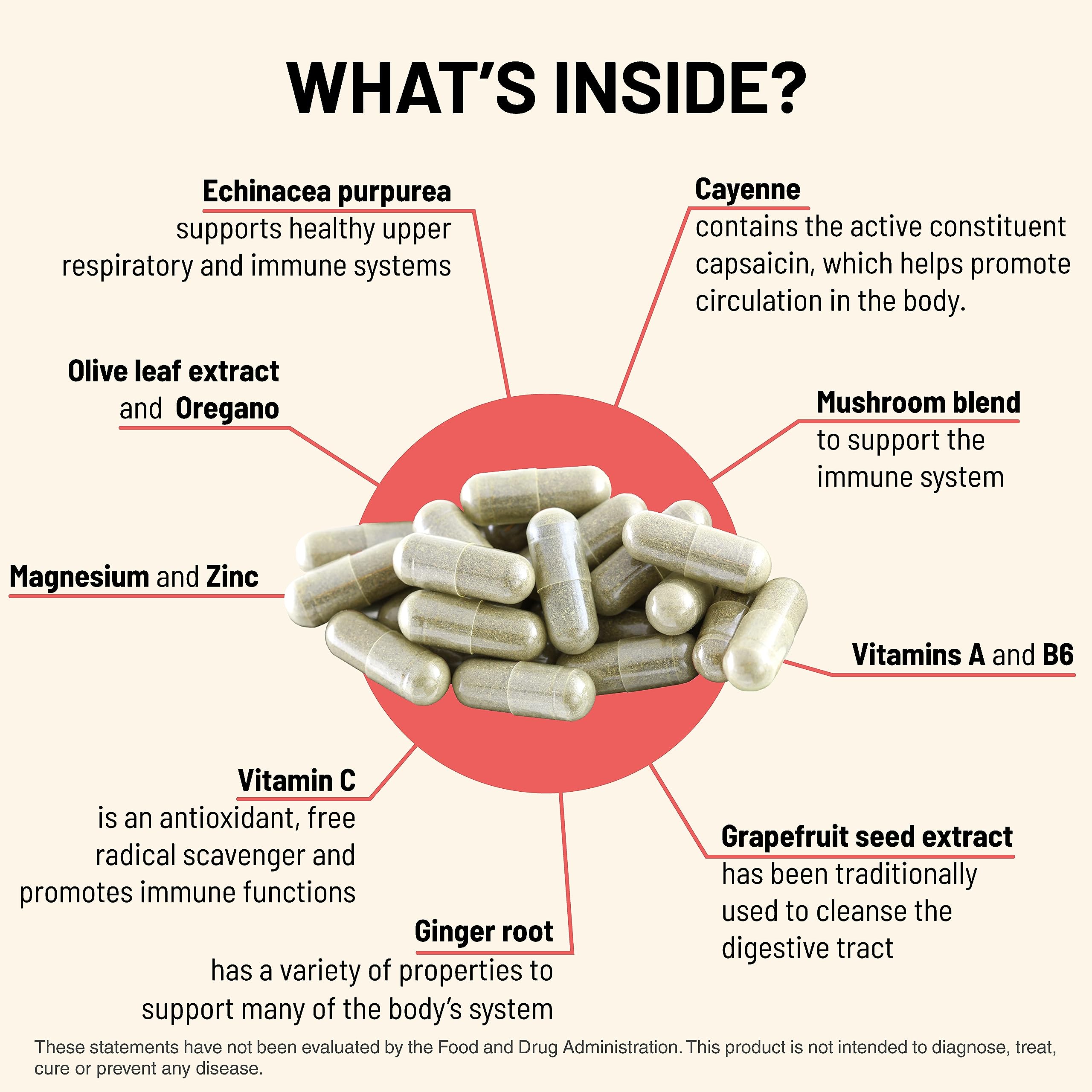 Mountain Peak Immuni-T ingredient lineup displayed with mushroom blend for immune balance.