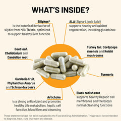 Liver C turmeric and artichoke blend capsules provide antioxidant support.