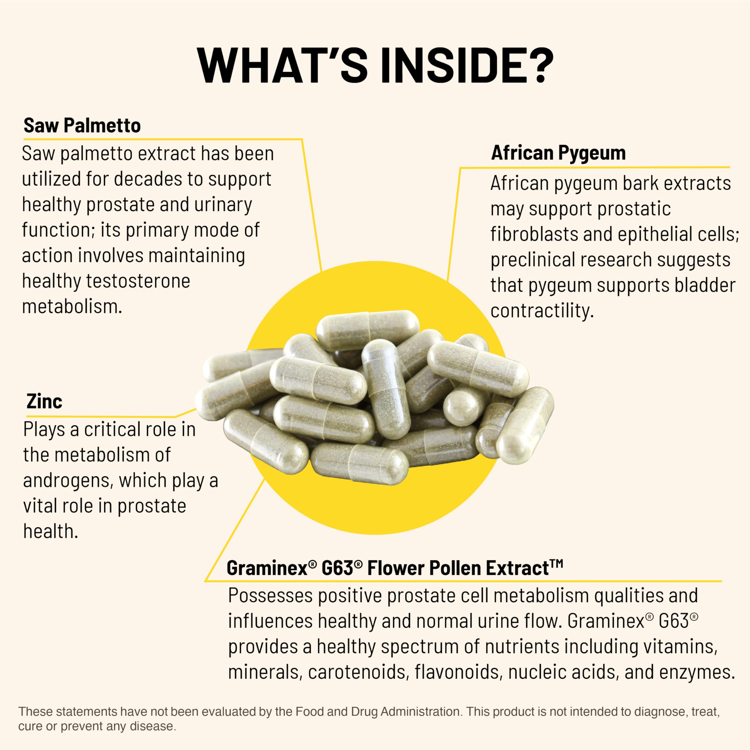 Mountain Peak Nutritionals Pygeum extract visual showing traditional prostate support ingredients