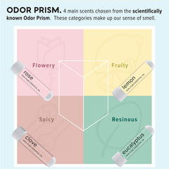 MOXE clove inhaler helps with sensory cues during daily odor training.