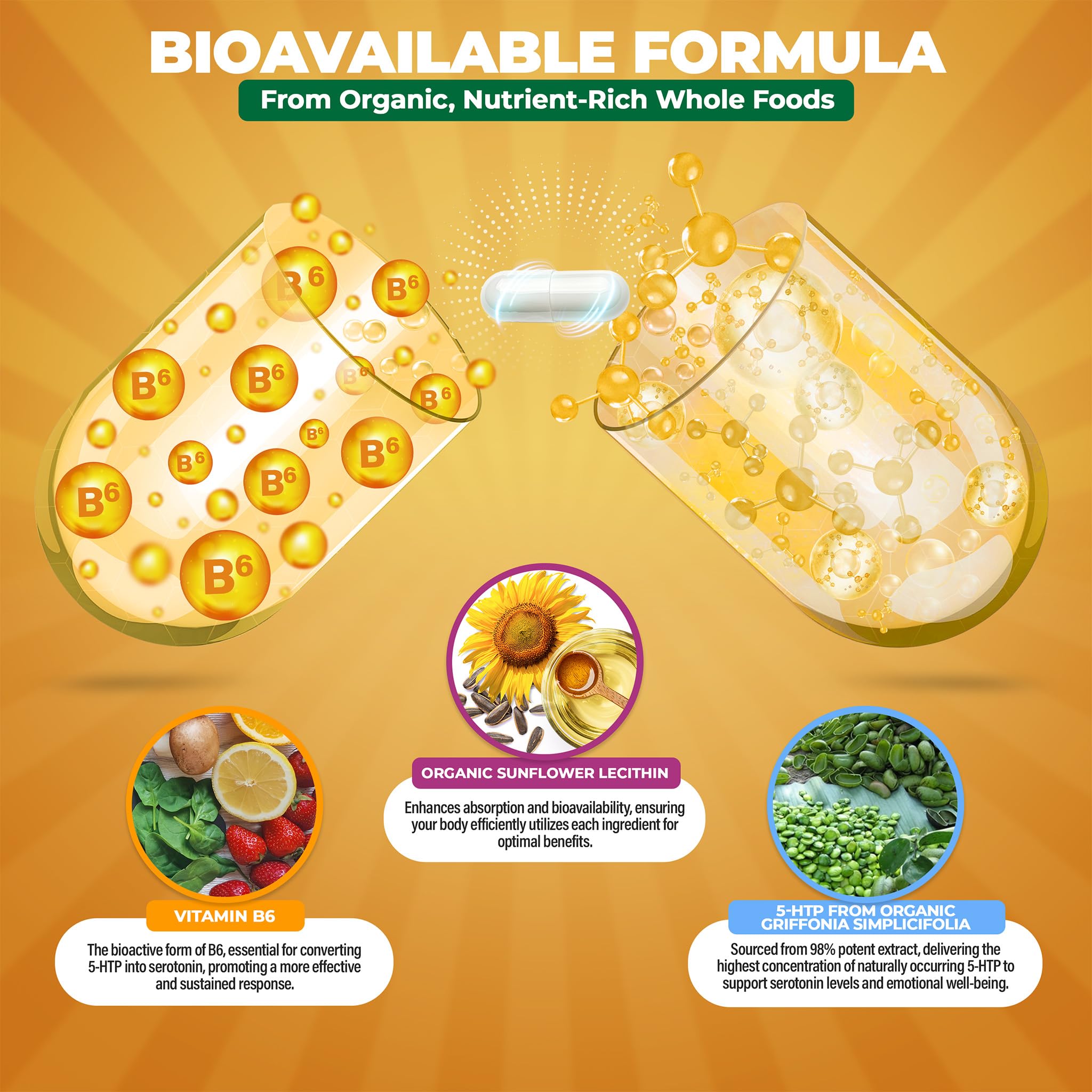 MoxyVites 5HTP Griffonia source image emphasizing organic plant extract