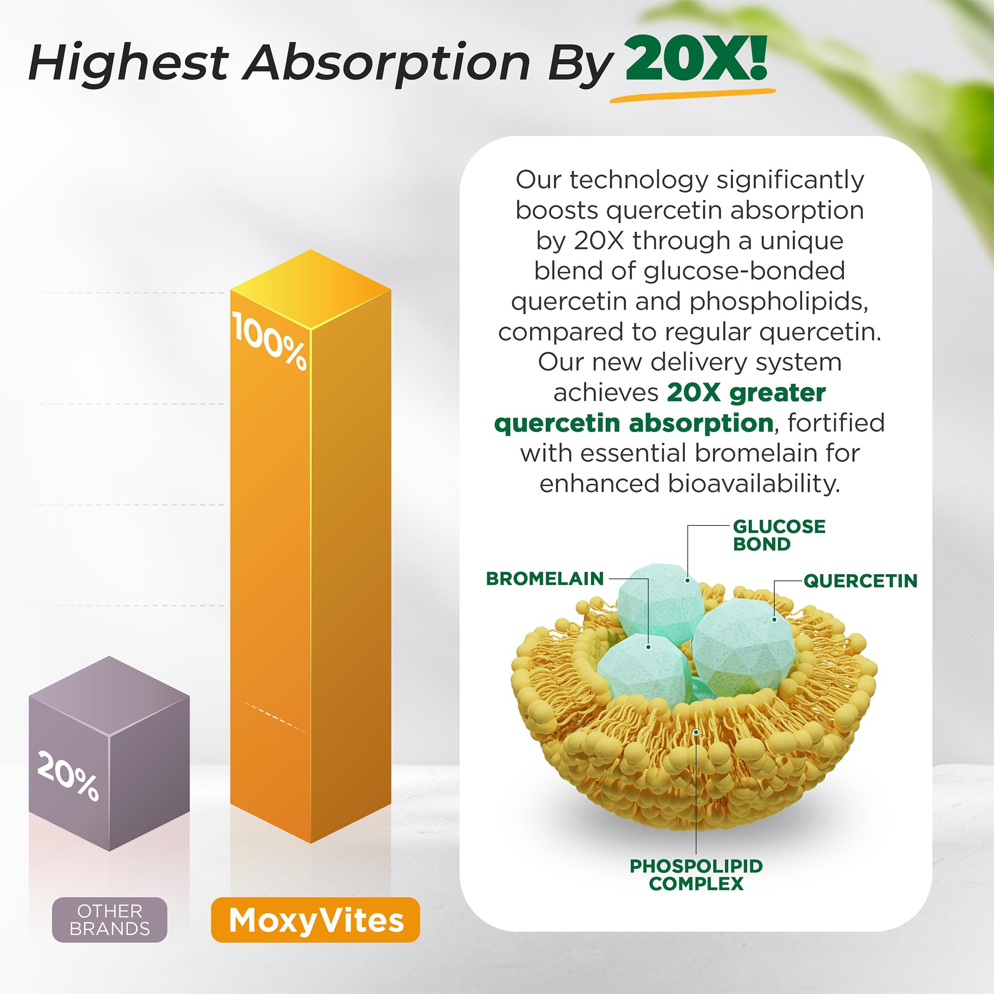 Vegan-friendly MoxyVites capsules suitable for vegetarian diets