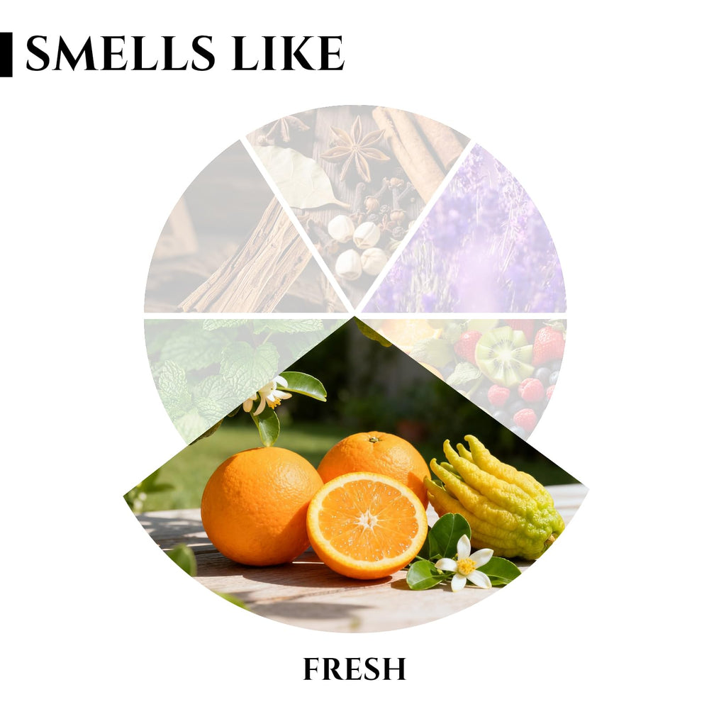 MR MIRYE neighborly warmth scent helps create welcoming spaces.