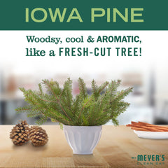Mrs. Meyer's Clean Day Iowa Pine foam lather suggests gentle cleansing and fragrance