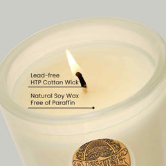 M&SENSE jar with lead-free wick detail for smokeless burn.