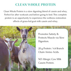 Mt Capra Goat milk protein is alkaline and A2, possibly easier on digestion