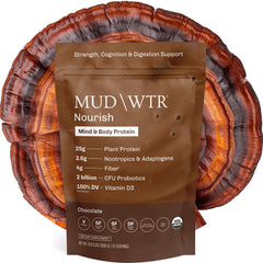 MUDWTR Nourish chocolate protein powder jar with organic ingredients for plant-based nutrition.
