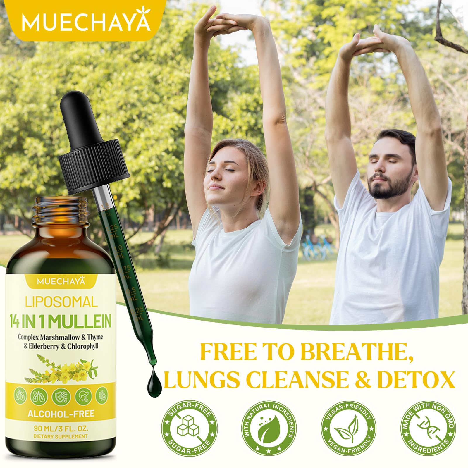 Convenient daily-use setup for Muechaya Mullein Drops.