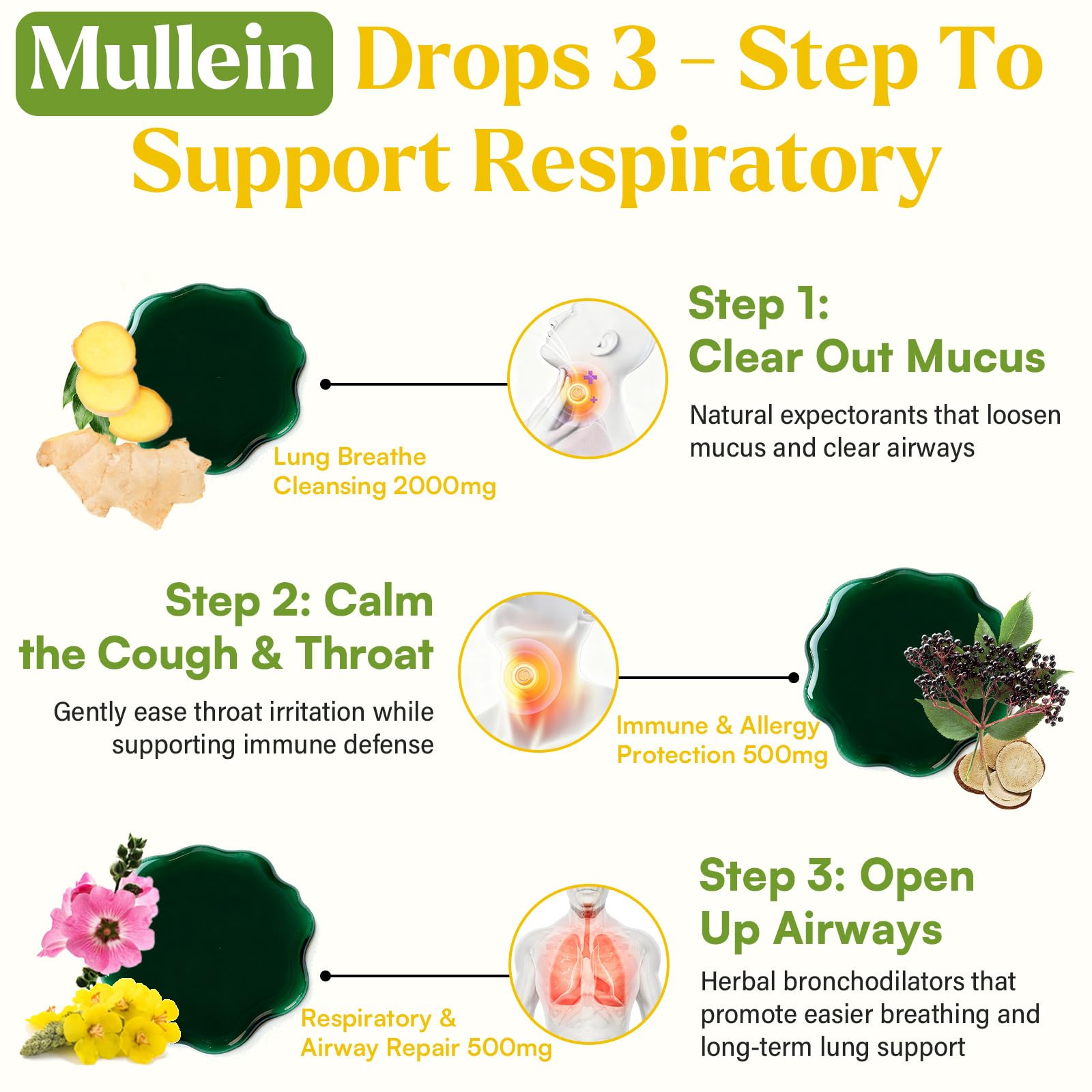 Muechaya Mullein Drops with elderberry and thyme for respiratory comfort.