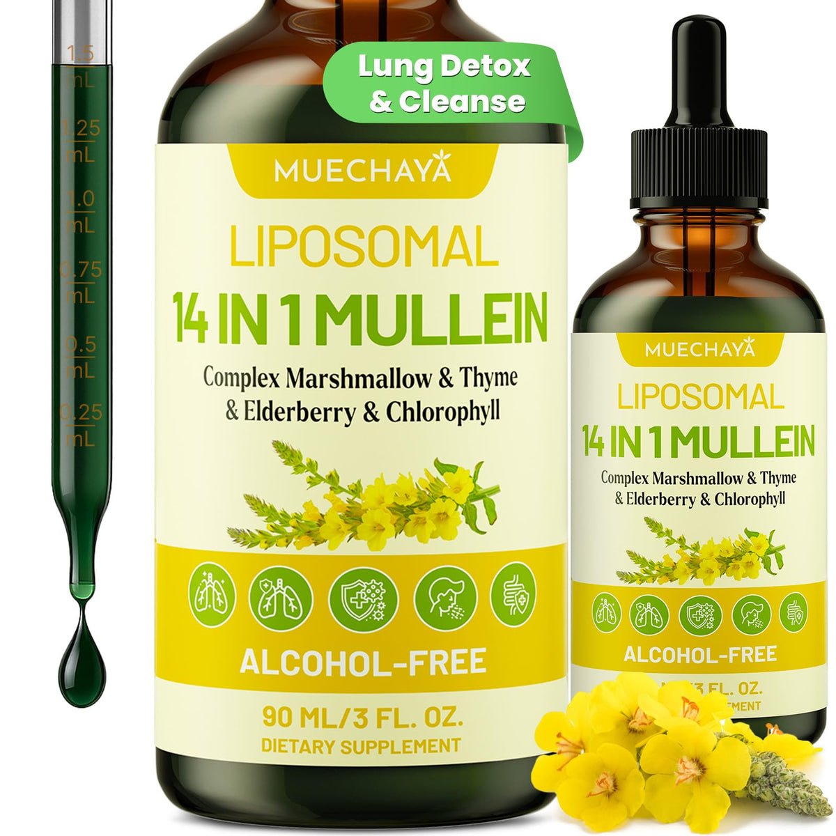 Muechaya Mullein Drops bottle for lung support and daily wellness.