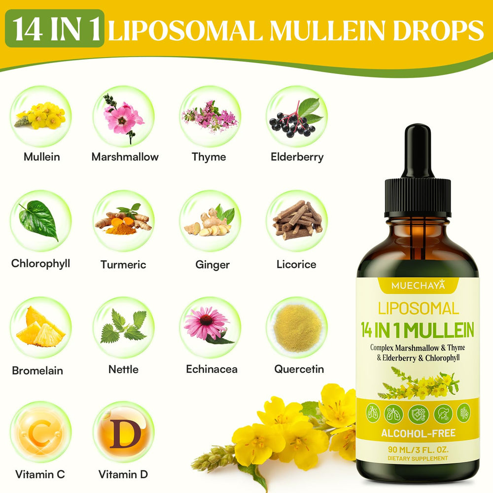 Mint-flavored drops offer refreshing daily intake with mullein blend.
