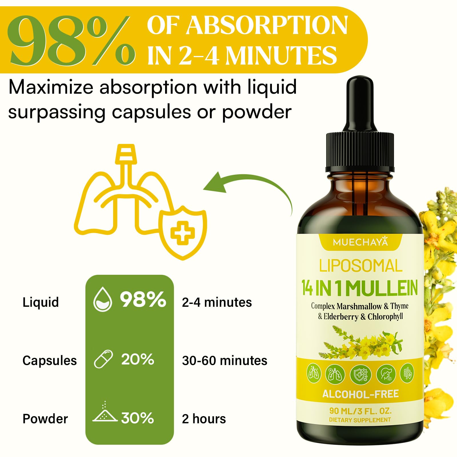 Lifestyle scene suggesting respiratory ease and everyday vitality.