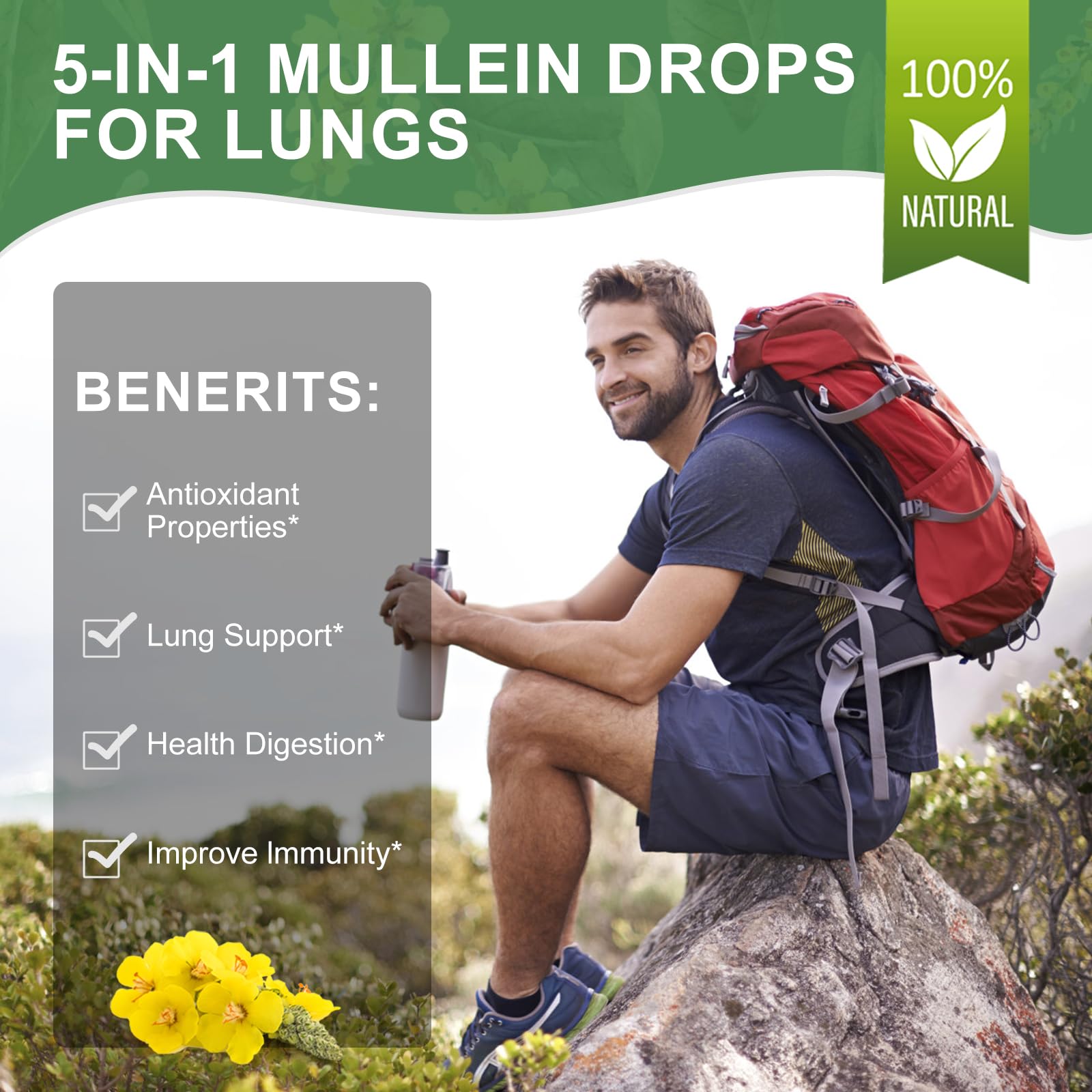 Mulittea Mullein Drops non-GMO and vegetarian label highlights clean, plant-based formula.