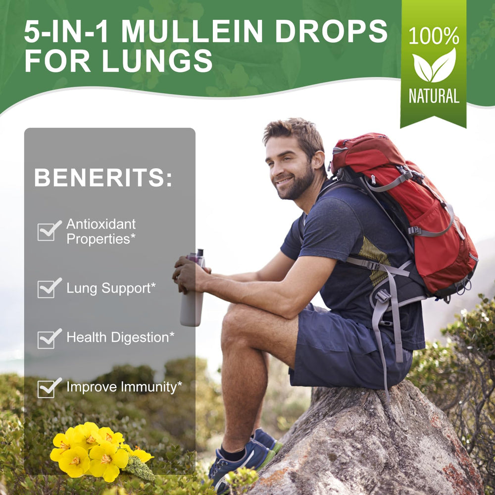 Mulittea Mullein Drops non-GMO and vegetarian label highlights clean, plant-based formula.