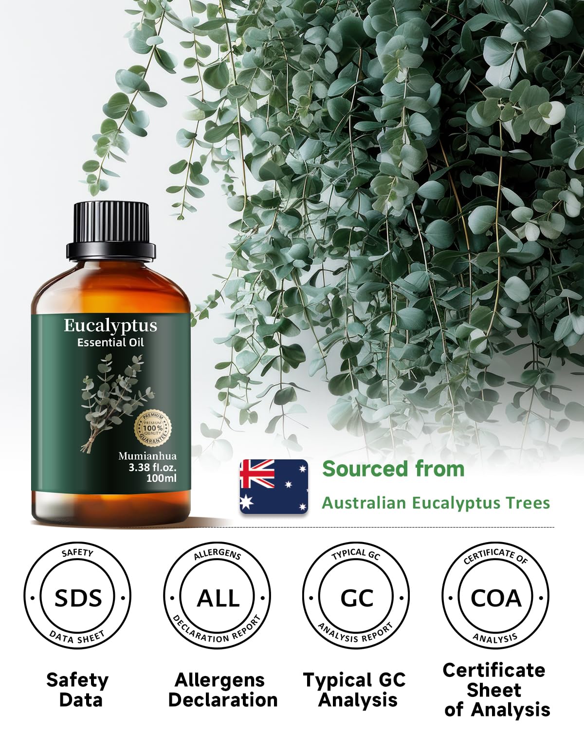 Mumianhua eucalyptus oil supports skin and hair care routine.