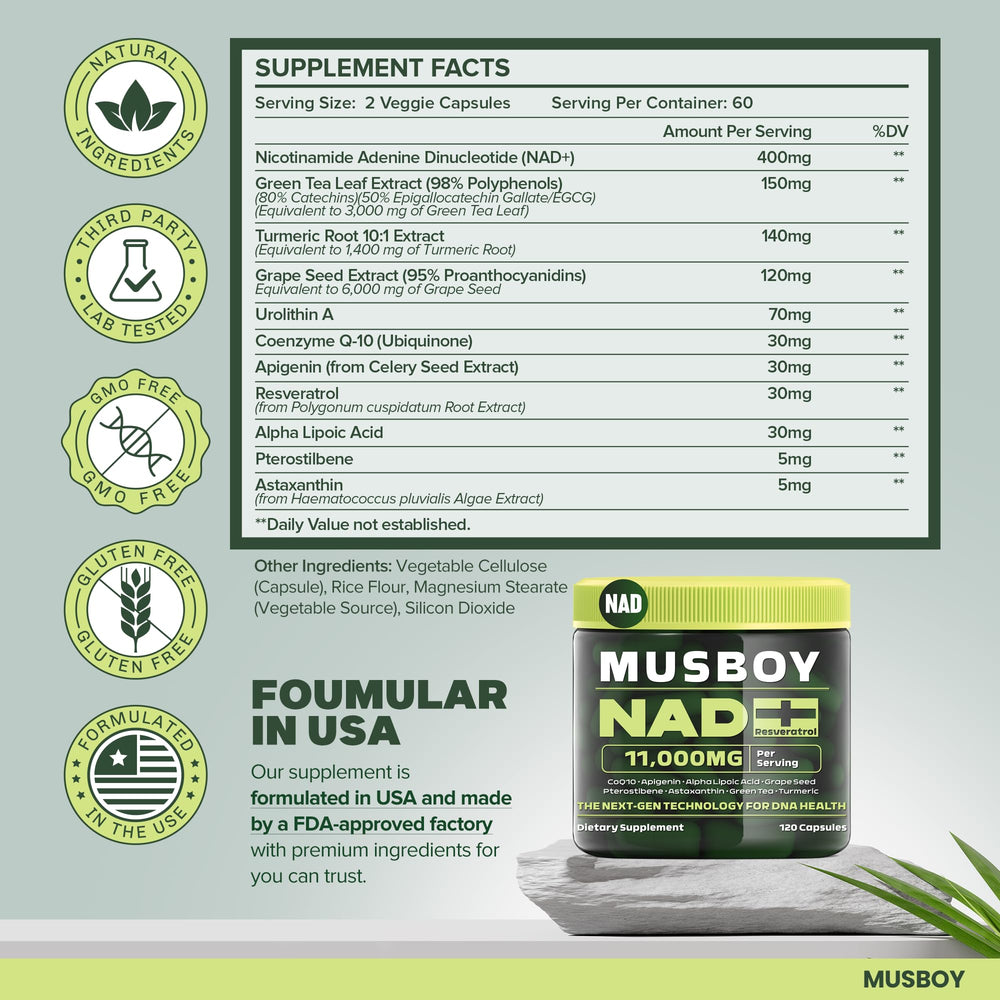 MUSBOY NAD+ energy visual for daytime focus.
