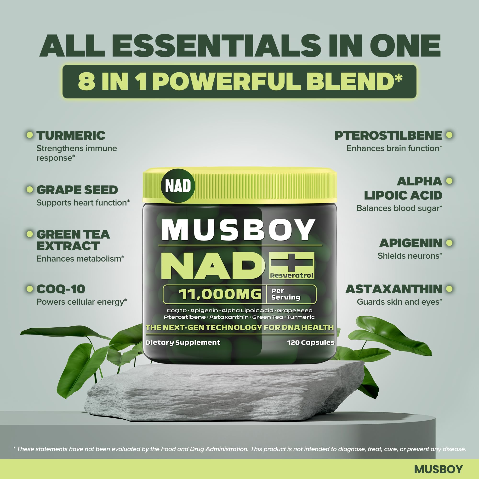 MUSBOY NAD+ ingredients panel with resveratrol and quercetin.