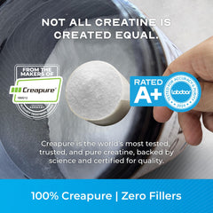 Creapure powder scoop ready for precise daily dosing and consistent energy.
