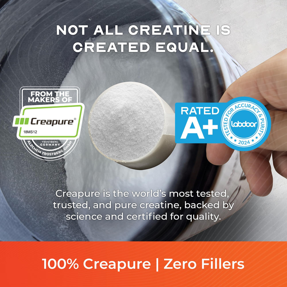 Creapure scoop shows precise 4300 mg serving for consistent dosing.