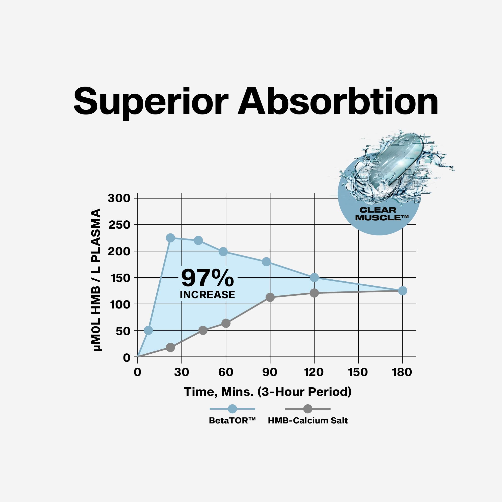 Graphic illustrating BetaTOR absorption advantages for protein synthesis and muscle support