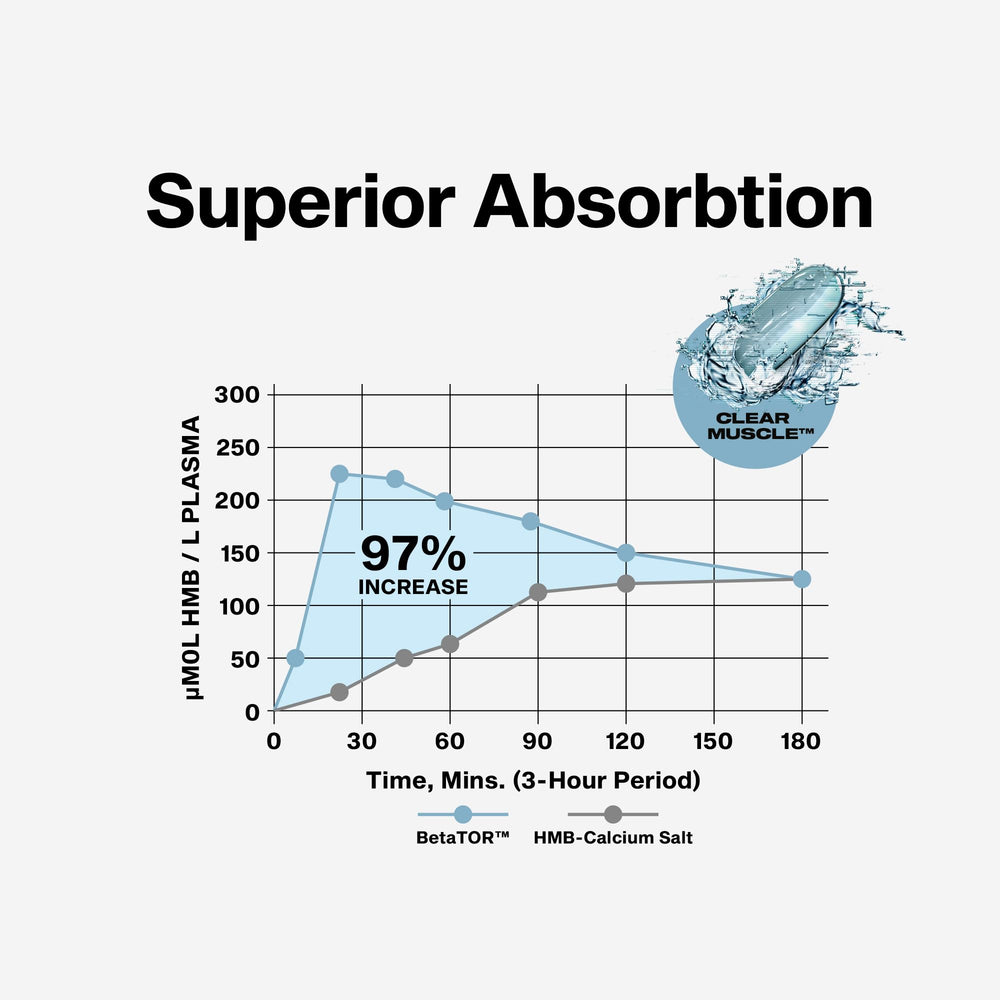 Graphic illustrating BetaTOR absorption advantages for protein synthesis and muscle support