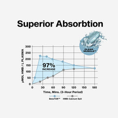 Graphic illustrating BetaTOR absorption advantages for protein synthesis and muscle support