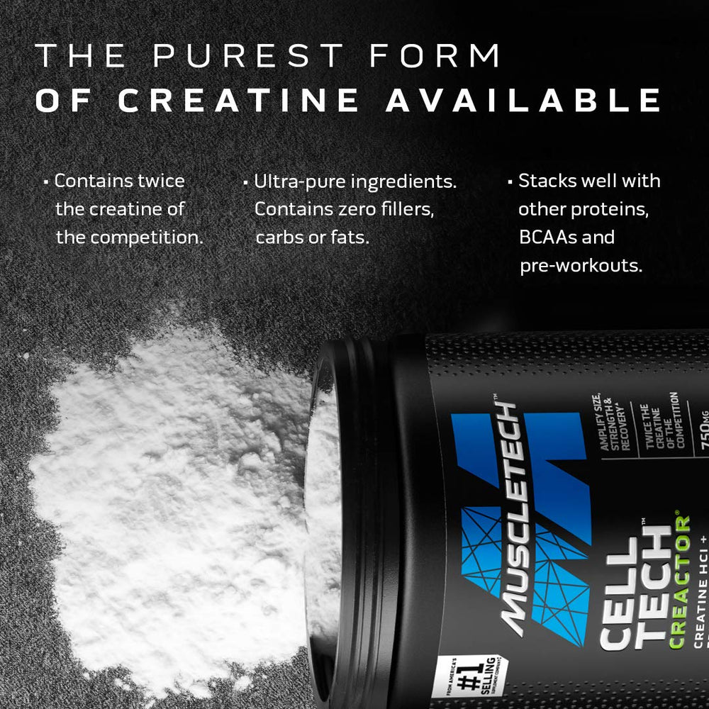 Shaker bottle with prepared drink suggests easy mixing and on-the-go use.