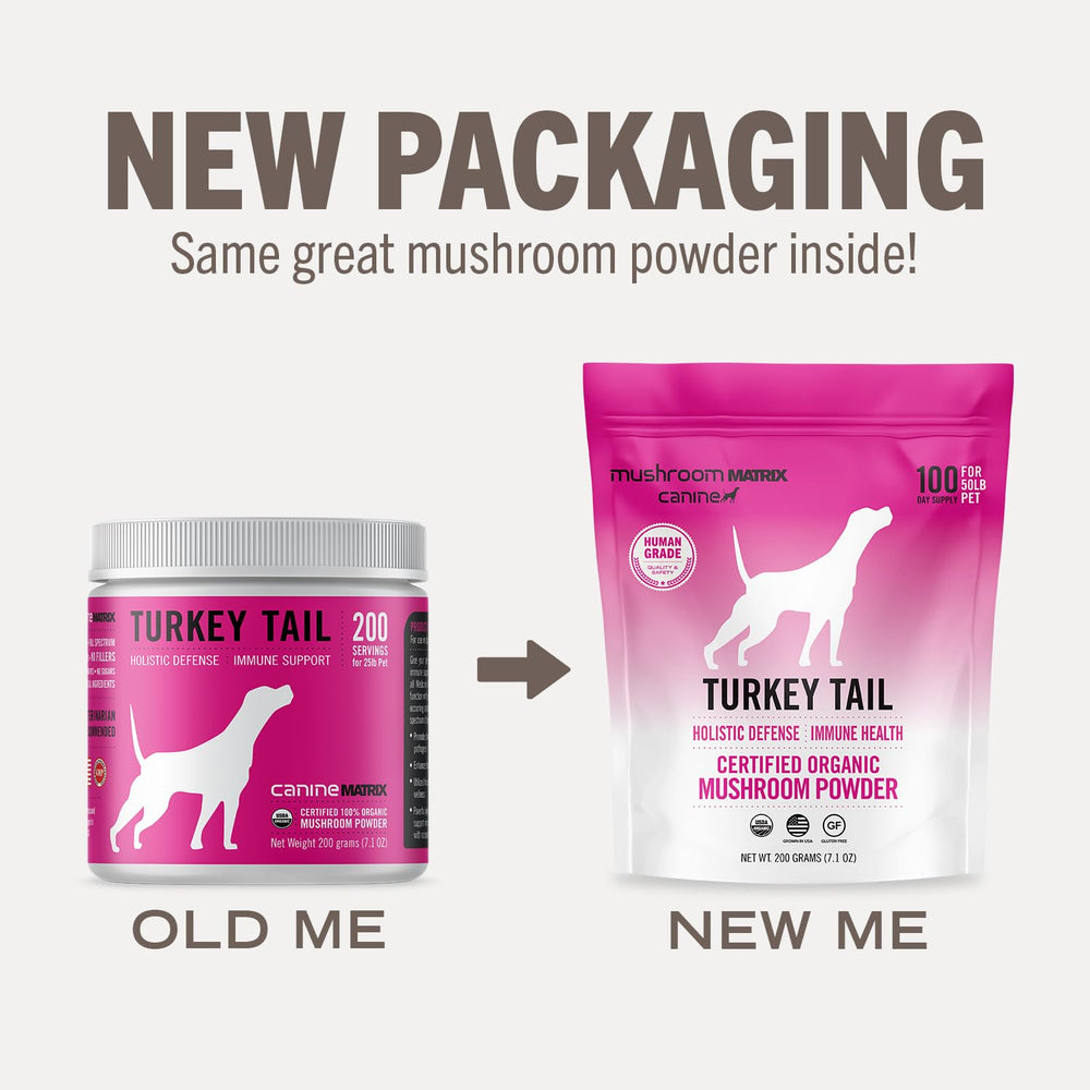 Mushroom Matrix Turkey Tail powder sprinkled on pet food for daily immune support.