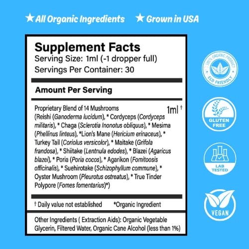 Dropper pouring Mushroom Mornings Extract for easy, steady energy.
