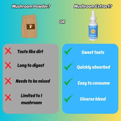 Ingredient panel of Mushroom Mornings Extract reveals 14 mushroom varieties.