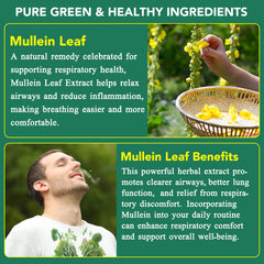 MXCZBSM Mullein Leaf Extract ingredients label close-up