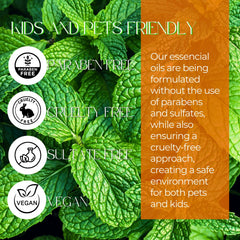 Mystic Romance waterless-diffuser-setup enables hotel-inspired fragrance without water.