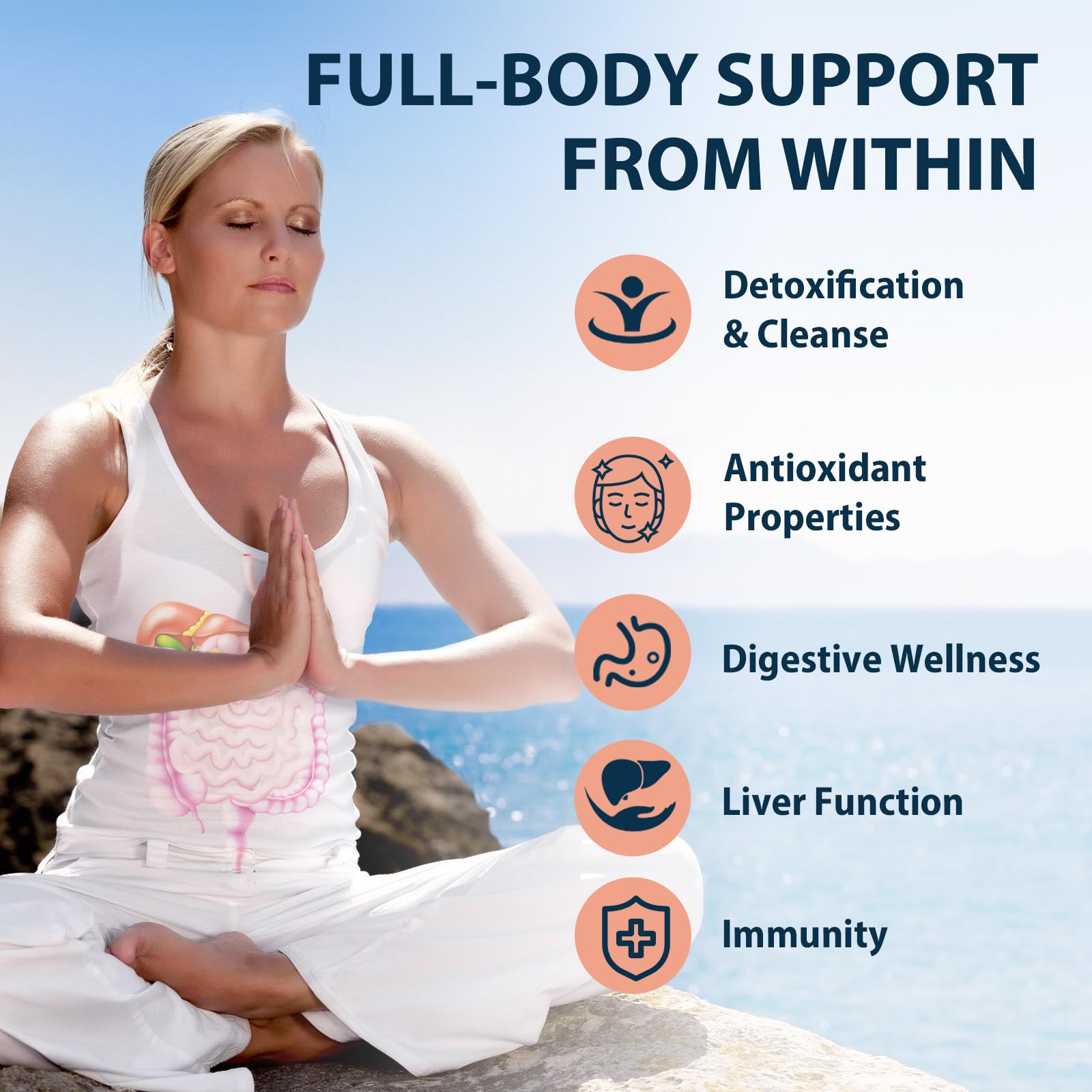 Milk thistle, curcumin, and chlorella extracts underscore detox synergy