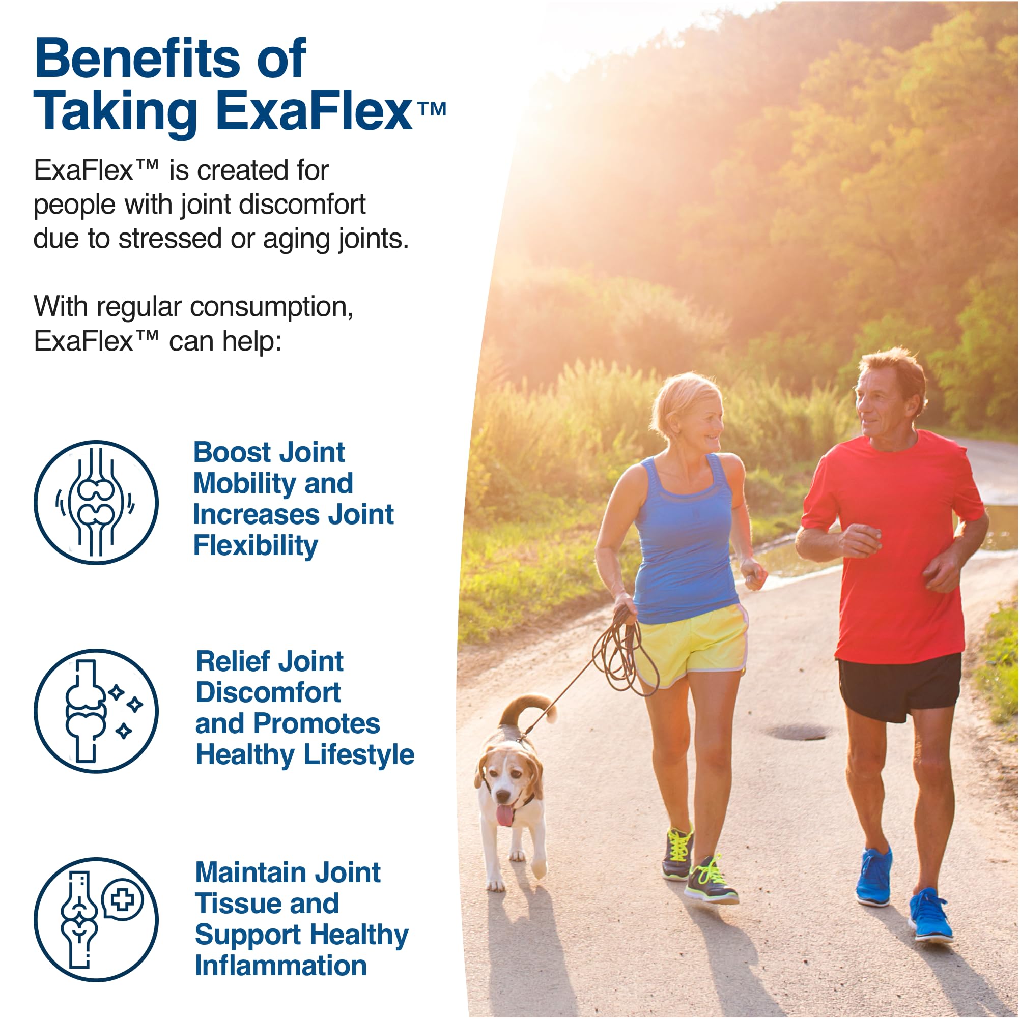 Boswellia and turmeric extracts in ExaFlex for targeted joint comfort