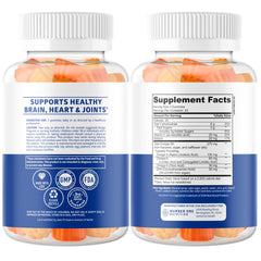 N1N Premium Omega 3-6-9 DHA Gummies bottle back with ingredient notes and vegan DHA source for memory support