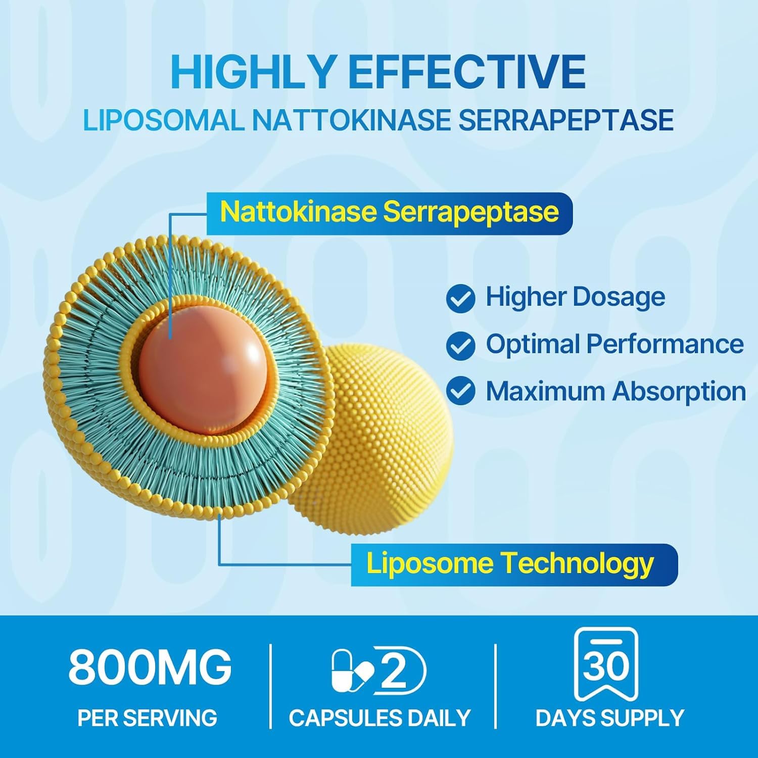 Naering enzyme synergy ingredients panel shows papain curcumin bromelain