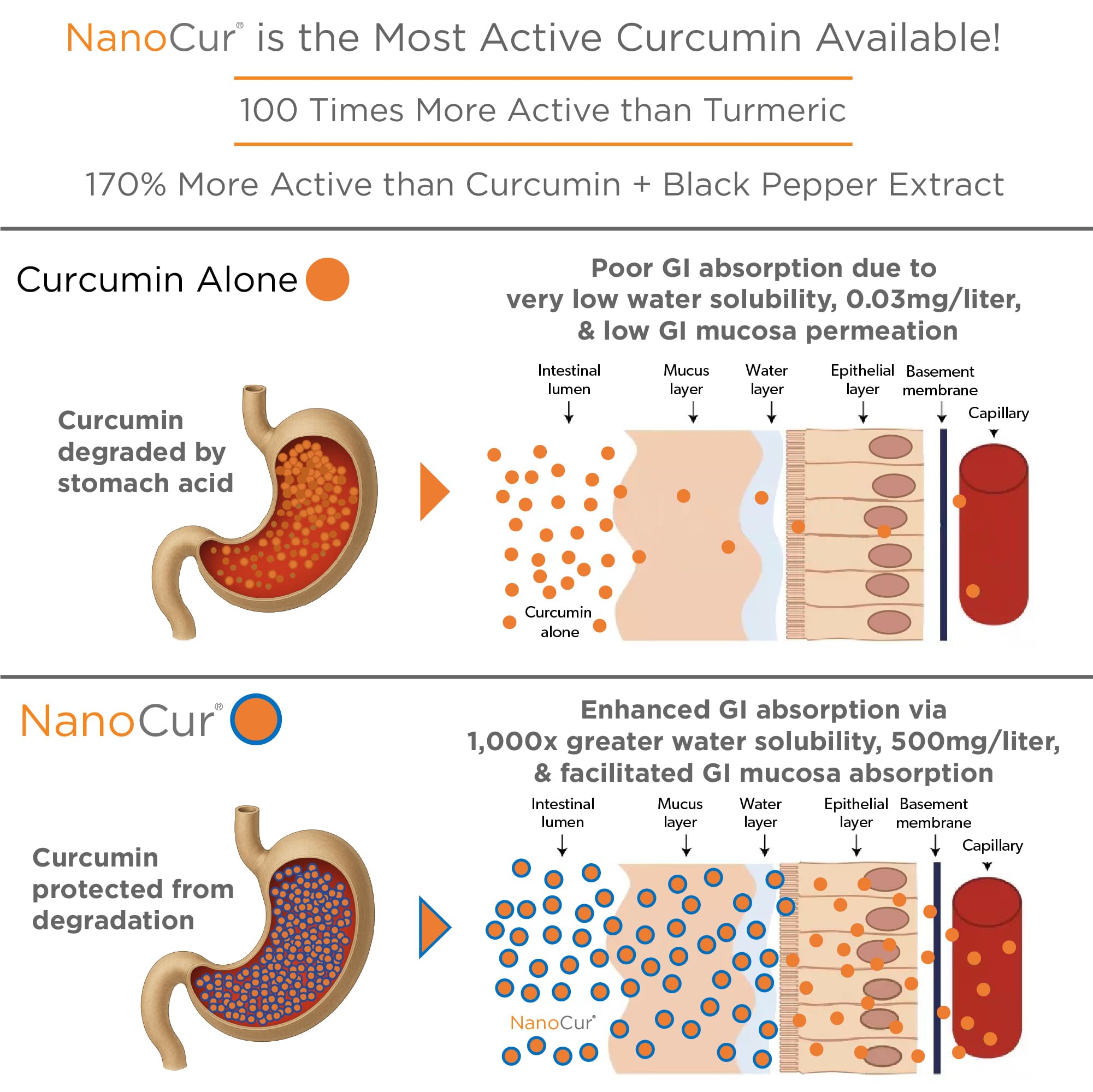 Plant-based carrier design enhancing absorption in Nanocur formulation.