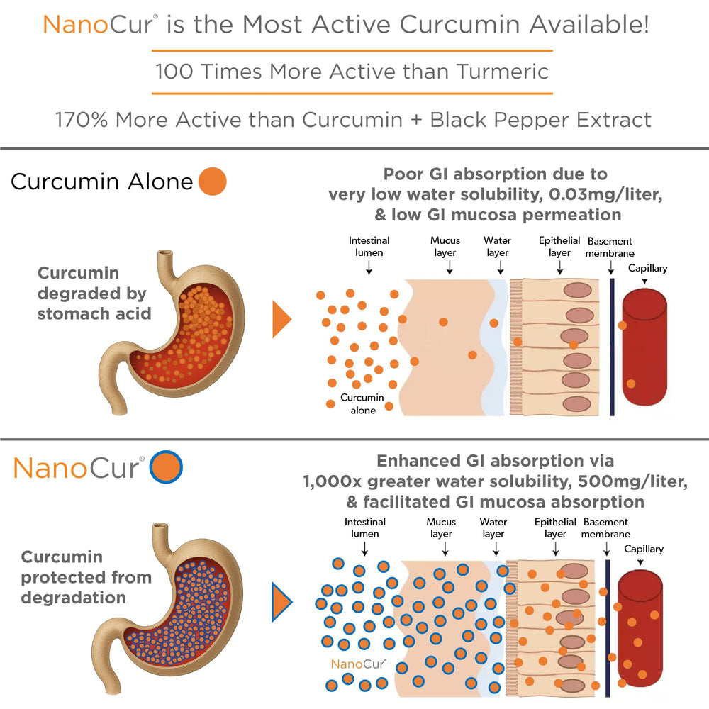 Plant-based carrier design enhancing absorption in Nanocur formulation.