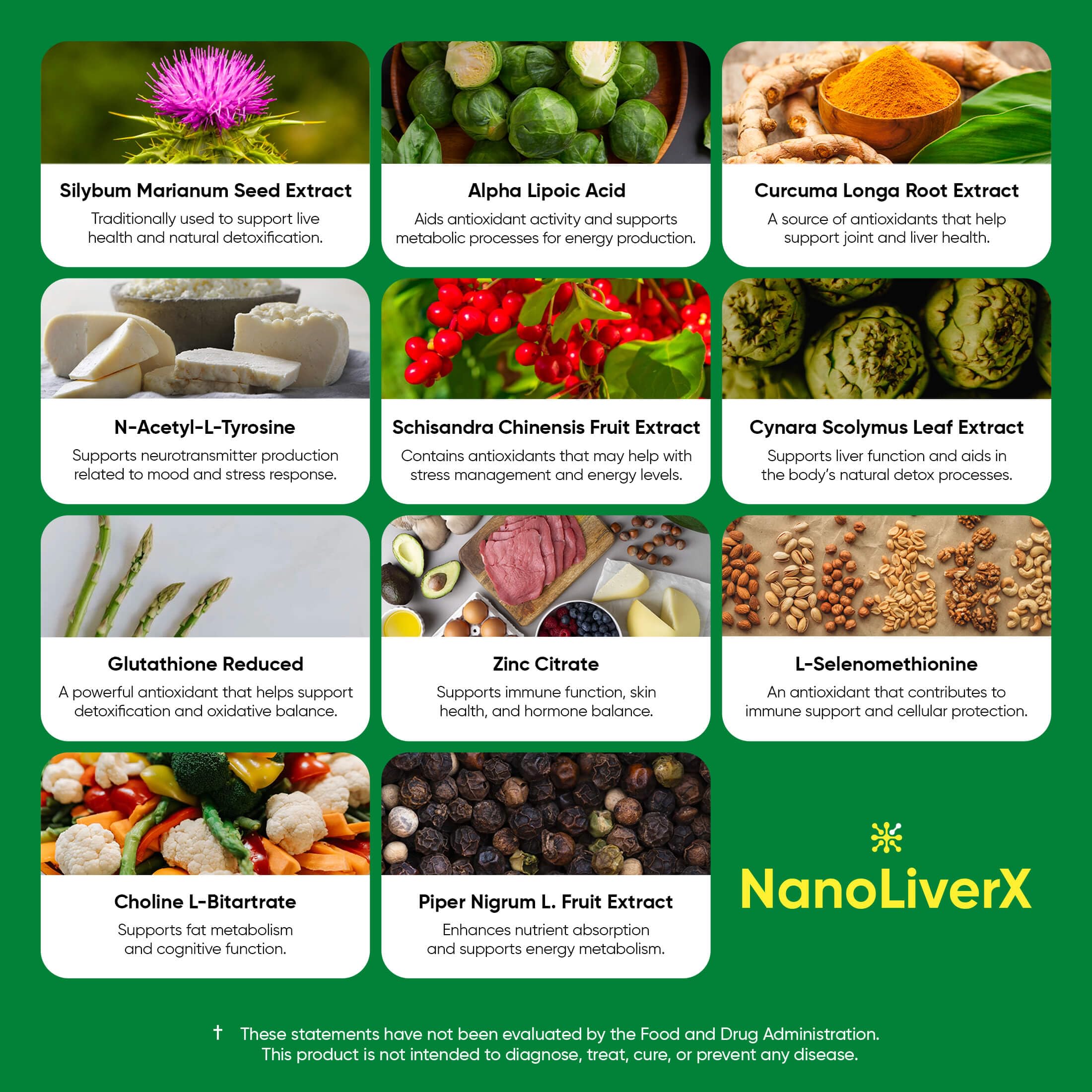 NANOREVIVE NanoLiverX features artichoke and dandelion for digestion support.